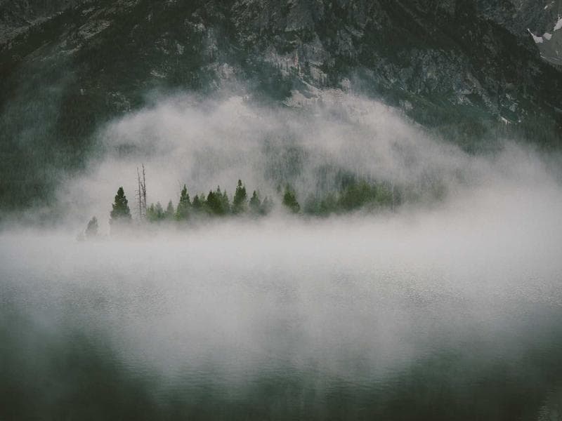 Etiketli ambalajda endüstriyel yağ sökücü ürün görseli.